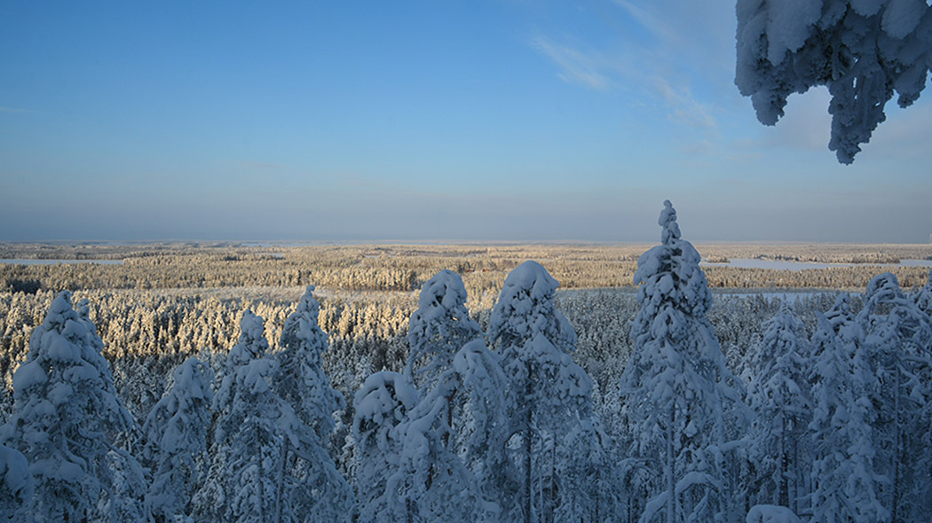 Vaaranrinteeltä avautuu näkymä lumiseen metsä- ja järvimaisemaan. Etualalla lumisia puita.