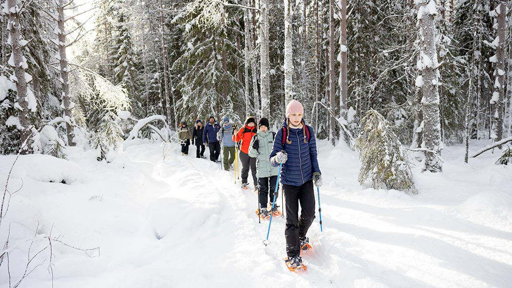 Joukko lumikenkäilijöitä kulkee jonossa talvisessa metsässä.
